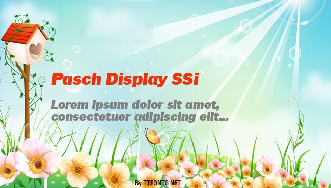 Pasch Display SSi example